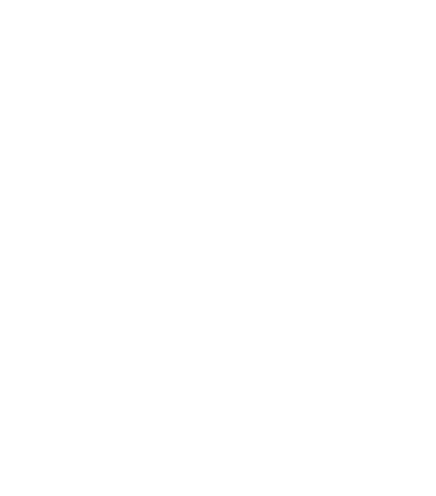 The University of Brooklyn